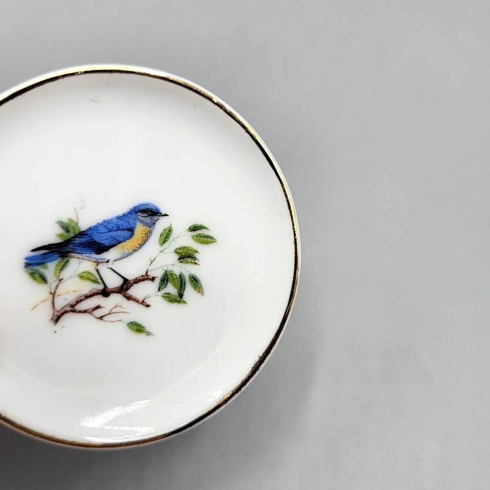 Bird Miniature Plate Magnets 2
